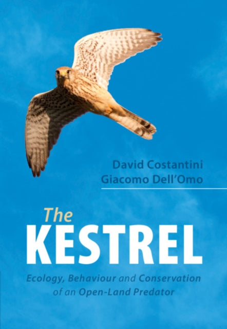 Book cover of: Kestrel. By: David Costantini