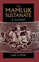 Book cover of: Mamluk Sultanate. By: Carl F. Petry