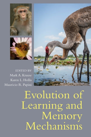 Evolution of Learning and Memory Mechanisms