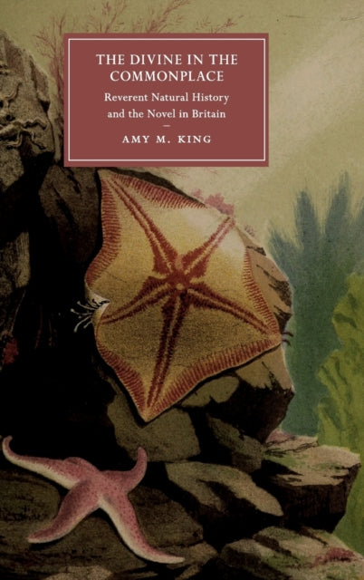 Divine in the Commonplace