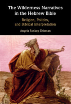 The Wilderness Narratives in the Hebrew Bible