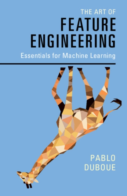 The Art of Feature Engineering