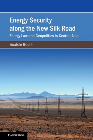 Energy Security along the New Silk Road
