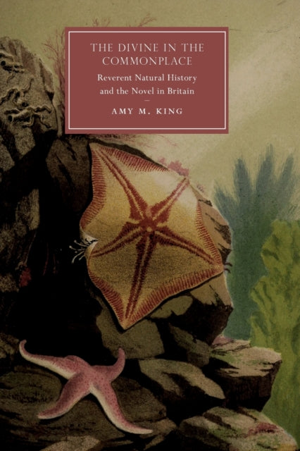 Book cover of: Divine in the Commonplace. By: Amy M. King