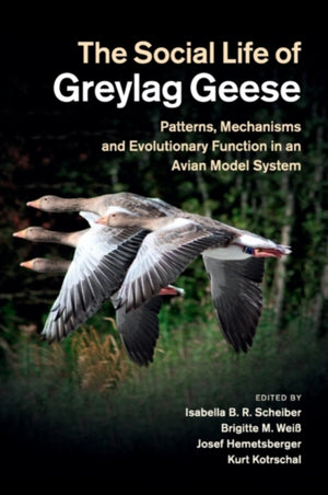Social Life of Greylag Geese