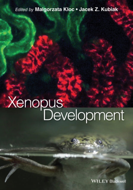 Book cover of: Xenopus Development. By: Malgorzata Kloc