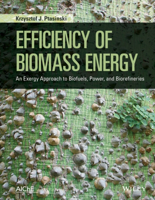 Book cover of: Efficiency of Biomass Energy. By: Krzysztof J. Ptasinski
