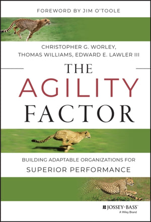Agility Factor