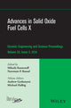 Book cover of: Advances in Solid Oxide Fuel Cells X, Volume 35, Issue 3. By: Mihails Kusnezoff