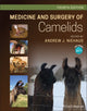 Book cover of: Medicine and Surgery of Camelids. By: Andy Niehaus