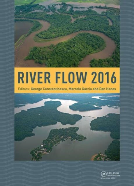 Book cover of: River Flow 2016. By: George Constantinescu