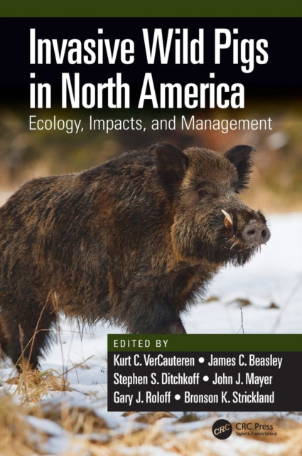 Book cover of: Invasive Wild Pigs in North America. By: Kurt VerCauteren