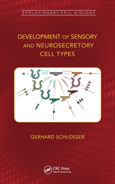 Development of Sensory and Neurosecretory Cell Types