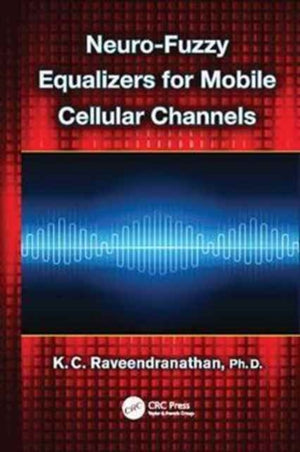 Neuro-Fuzzy Equalizers for Mobile Cellular Channels