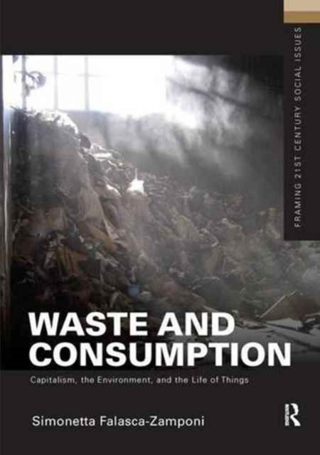Book cover of: Waste and Consumption. By: Simonetta Falasca-Zamponi