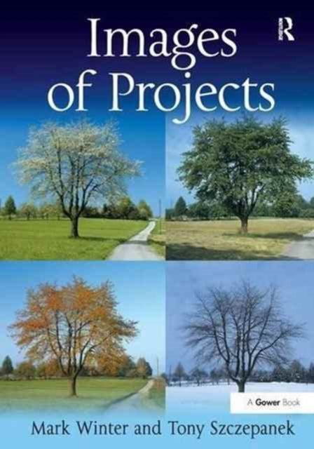 Book cover of: Images of Projects