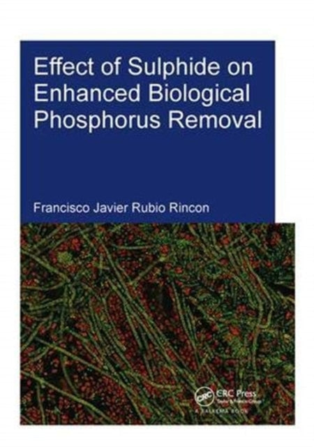 Book cover of: Effect of Sulphide on Enhanced Biological Phosphorus Removal. By: Francisco Javier Rubio Rincon