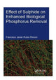 Book cover of: Effect of Sulphide on Enhanced Biological Phosphorus Removal. By: Francisco Javier Rubio Rincon
