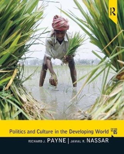 Book cover of: Politics and Culture in the Developing World. By: Richard Payne