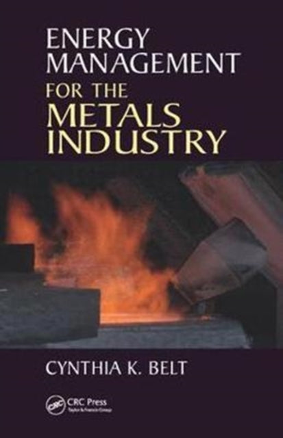 Book cover of: Energy Management for the Metals Industry. By: Cynthia K. Belt