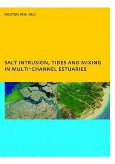Salt Intrusion, Tides and Mixing in Multi-Channel Estuaries