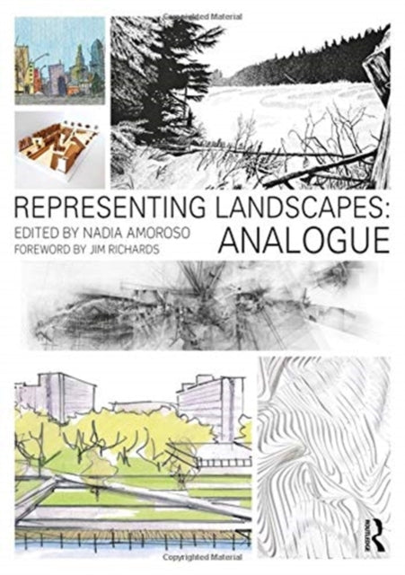 Book cover of: Representing Landscapes. By: Nadia Amoroso