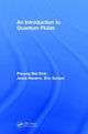 Book cover of: Introduction to Quantum Fluids. By: Phuong Mai Dinh