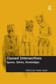 Book cover of: Classed Intersections. By: Yvette Taylor