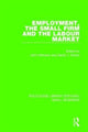 Book cover of: Employment, the Small Firm and the Labour Market. By: John Atkinson