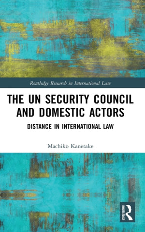 UN Security Council and Domestic Actors