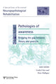Book cover of: Pathologies of Awareness: Bridging the Gap between Theory and Practice. By: Linda Clare