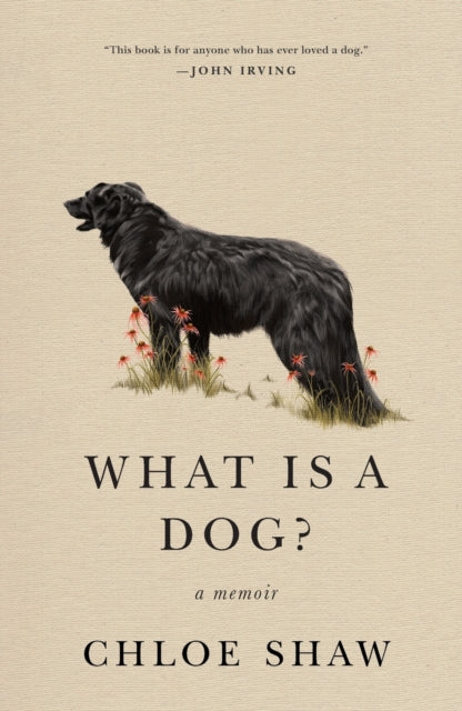 What Is A Dog?