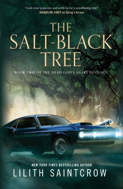 Book cover of: The Salt-Black Tree. By: Lilith Saintcrow