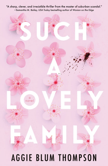 Book cover of: Such a Lovely Family. By: Aggie Blum Thompson