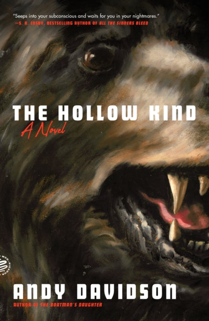 Book cover of: Hollow Kind. By: Andy Davidson