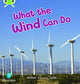 Book cover of: Bug Club Phonics - Phase 5 Unit 16: What the Wind Can Do. By: Lucy Smith