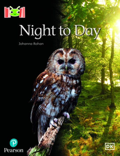 Book cover of: Bug Club Reading Corner: Age 4-5: Night to Day. By: Johanna Rohan