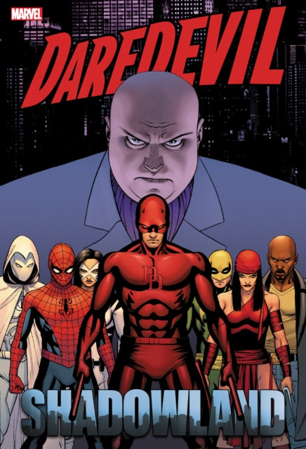 Book cover of: Daredevil: Shadowland Omnibus Cassaday Cover (New Printing)