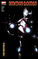 Book cover of: Iron Man Modern Era Epic Collection: Stark Disassembled. By: Matt Fraction