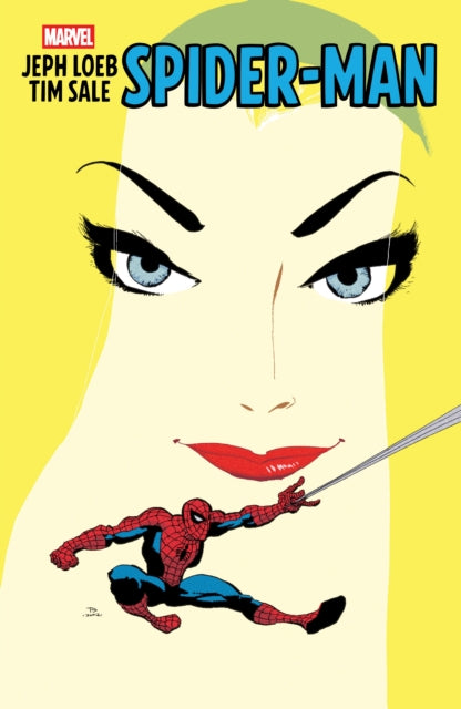 Book cover of: Jeph Loeb & Tim Sale: Spider-Man