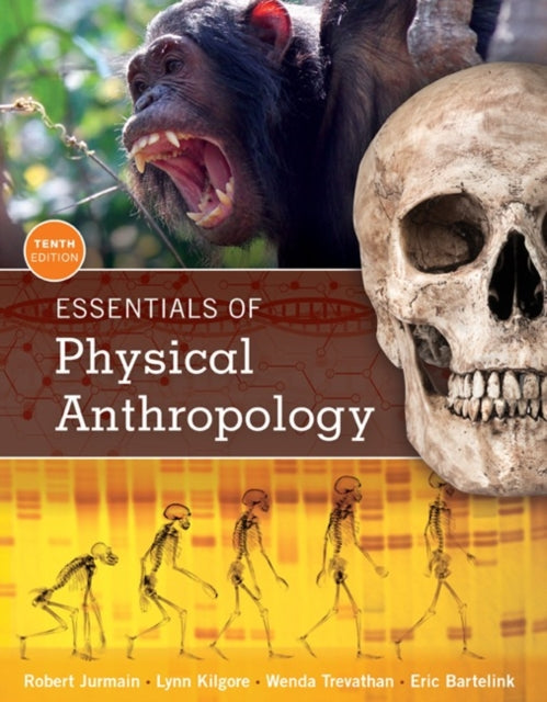 Book cover of: Essentials of Physical Anthropology. By: Robert Jurmain