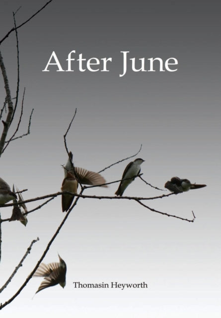 Book cover of: After June. By: Thomasin Heyworth
