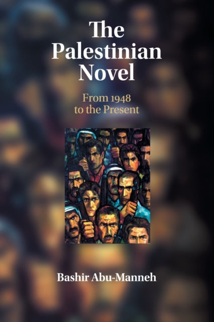 The Palestinian Novel