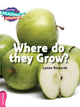 Book cover of: Cambridge Reading Adventures Where Do they Grow? Pink B Band. By: Lynne Rickards
