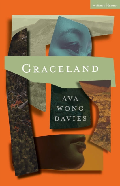 Book cover of: Graceland. By: Ava Wong Davies