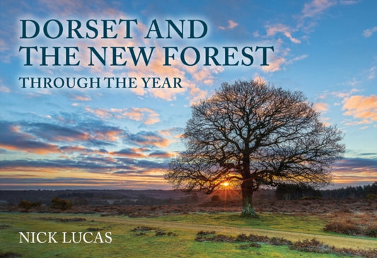 Book cover of: Dorset and the New Forest Through the Year
