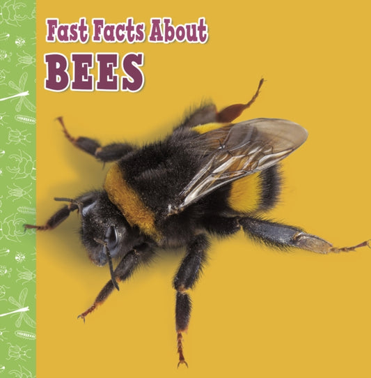 Book cover of: Fast Facts About Bees. By: Lisa J. Amstutz