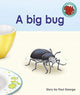 Book cover of: big bug. By: Paul George