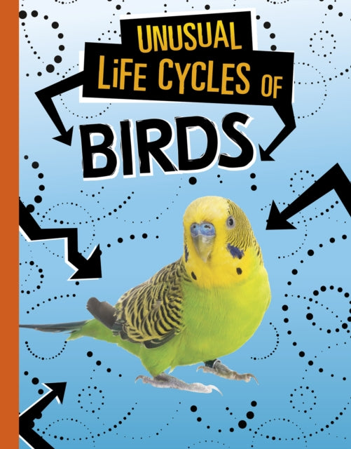 Book cover of: Unusual Life Cycles of Birds. By: Jaclyn Jaycox