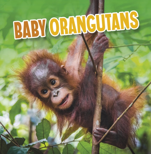 Book cover of: Baby Orangutans. By: Martha E. H. Rustad